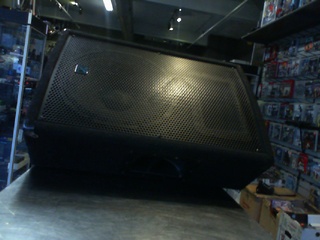 Speaker 300wts