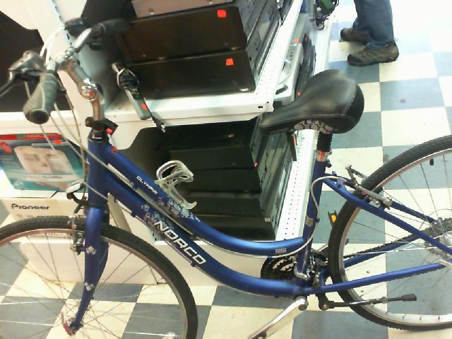 Becycle bleu cruiser