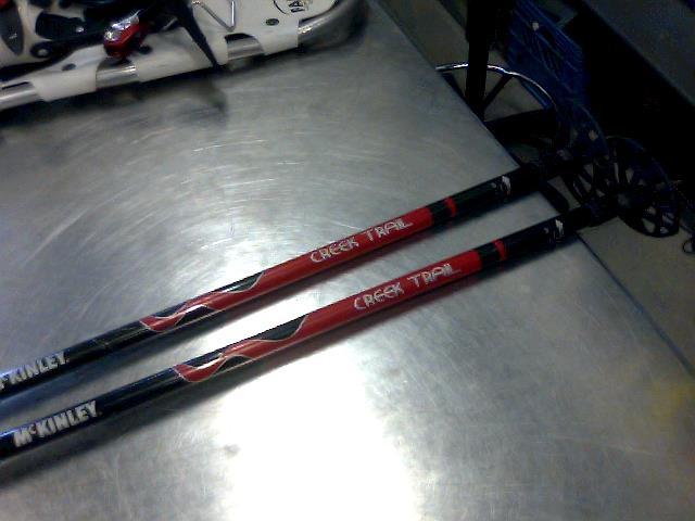 Batons de ski