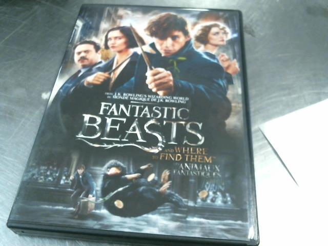 Fantastic beasts