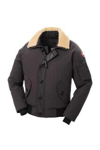 Canada goose foxe brun