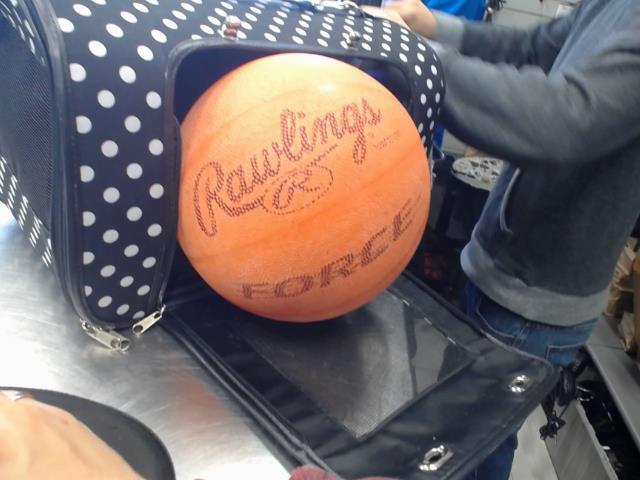 Ballon de basket