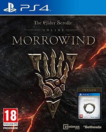 The elder scrolls morrowind