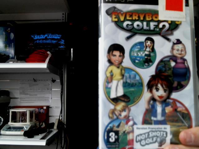 Everybody's golf 2