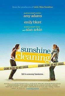 Sunshine cleaning