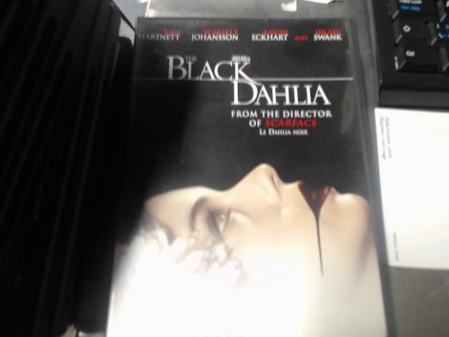 Black dahlia