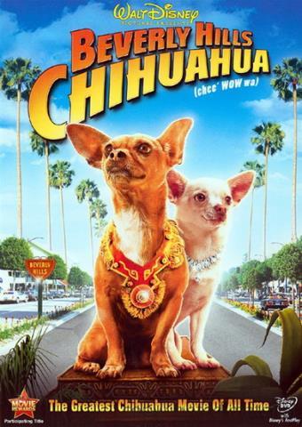 Beverly hills chihuahua