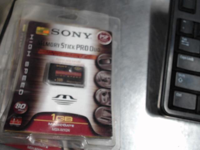 Memory stick pro duo 1gb