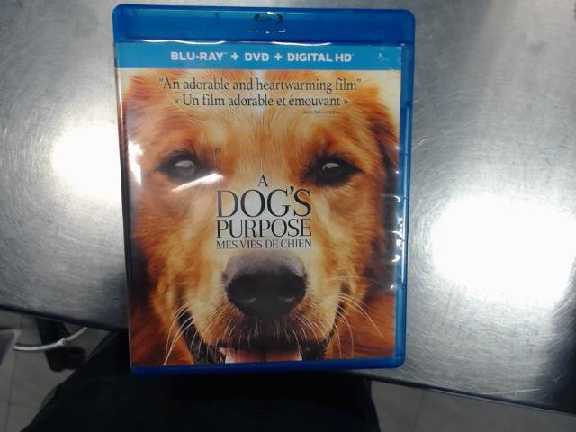 A dogs purpose