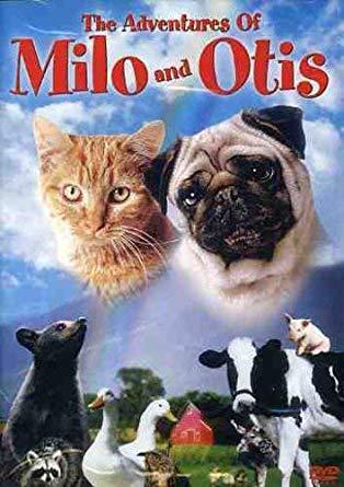 Les aventures de milo et otis