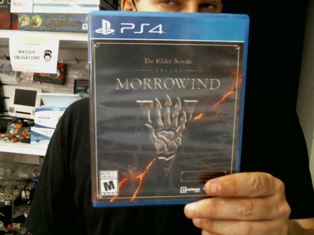 Elder scrolls morrowind