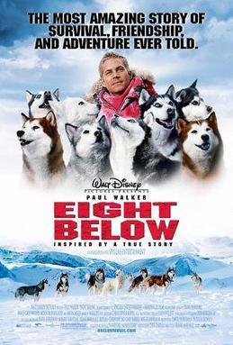 Eight below