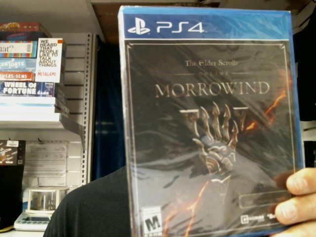 The elder scrolls morrowind