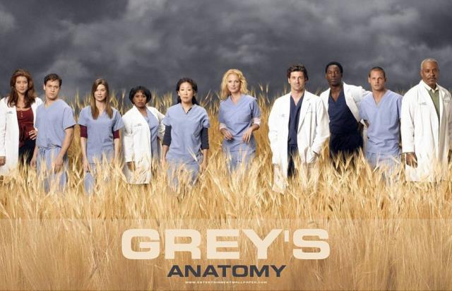 Greys anatomy