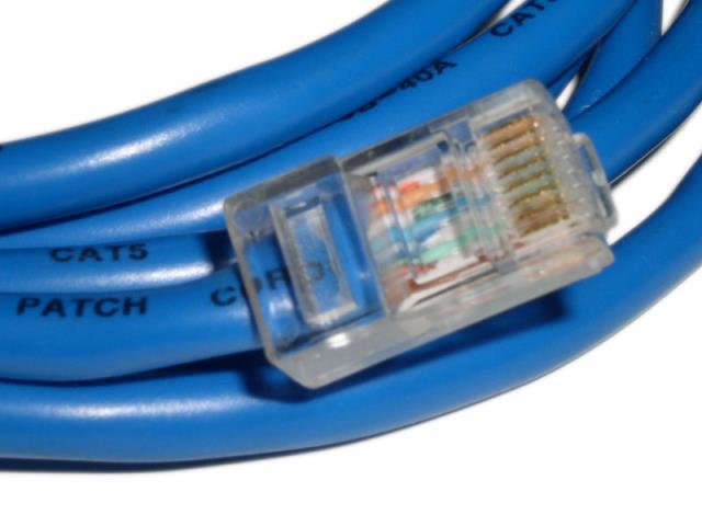 Cable ethernet bleu moyen