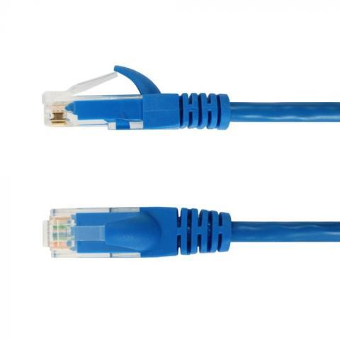 Cable ethernet petit bleu