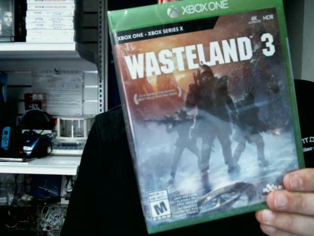 Wasteland 3