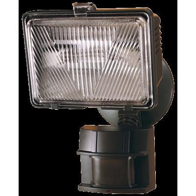 Motion sensor light