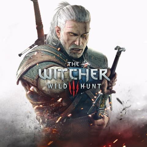 The witcher wild hunt 3