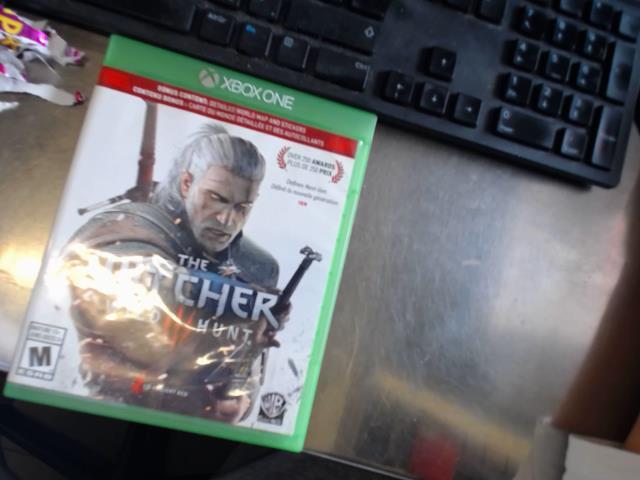 The witcher 3