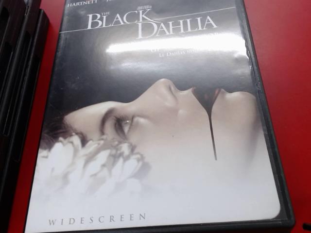 Black dahlia