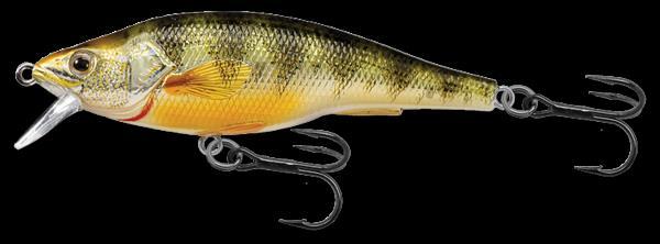 Yellow perch