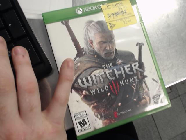 The witcher wild hunt