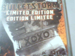 Bulletstorm