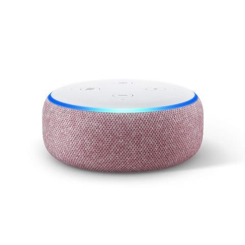 Amazon echo rose with wire