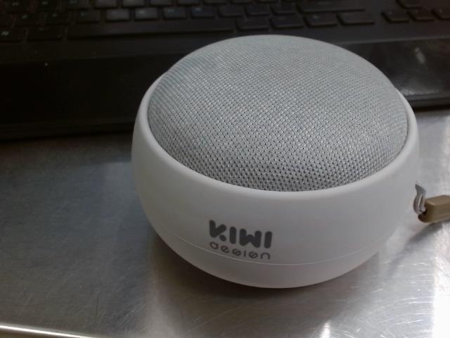 Kiwi speaker