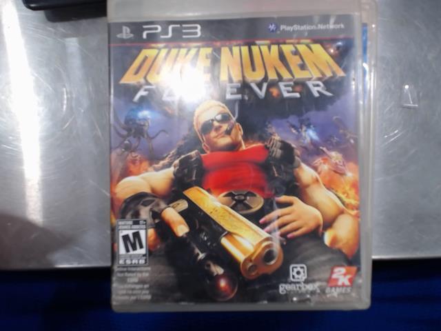 Duke nukem