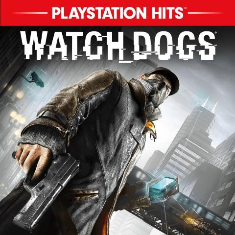 Watch dogs