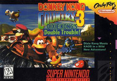 Donkey kong country 3 dixie kongs