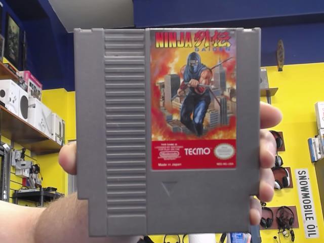 Ninja gaiden