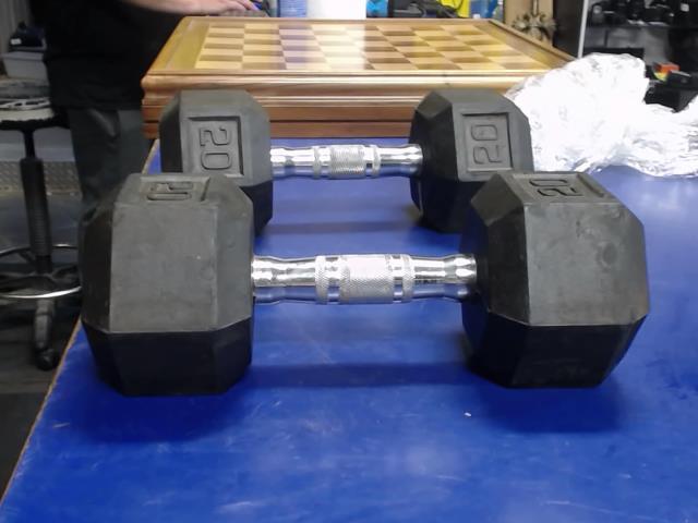 Paire dumbell 20lbs