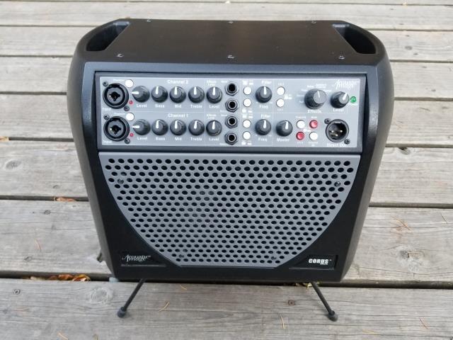 Combo amp guitar voice