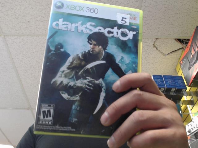 Dark sector