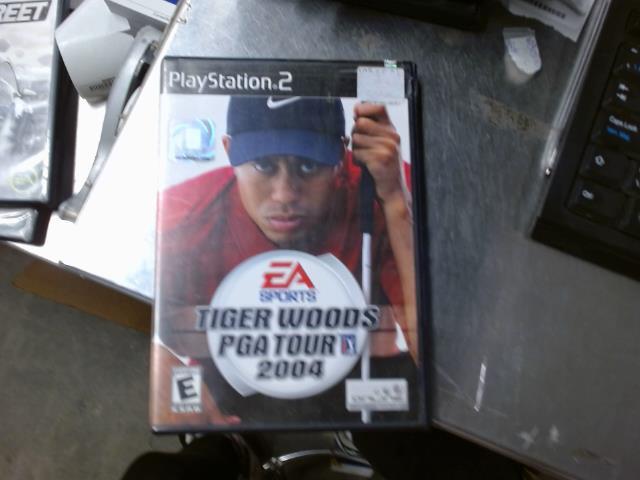 Tiger woods pga tour 2004