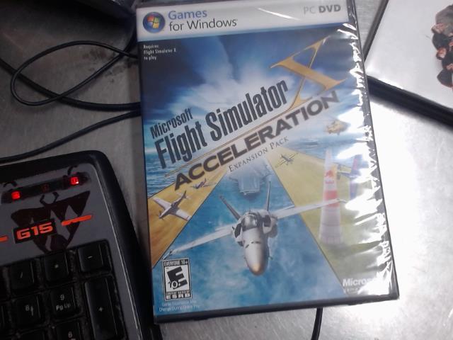 Flight simulator