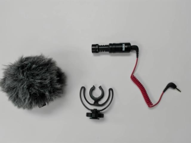 Micro rode videomicro