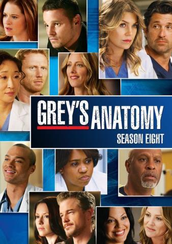 Grey's anatomy eighth season