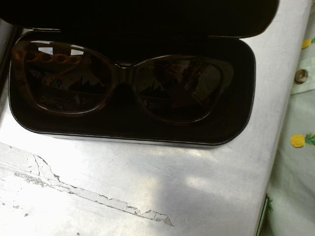 Lunettes coach dans case