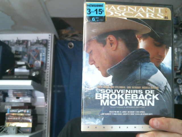 Souvenirs de brokeback mountain