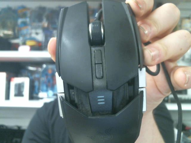 Souris ouraoboros ambidextre