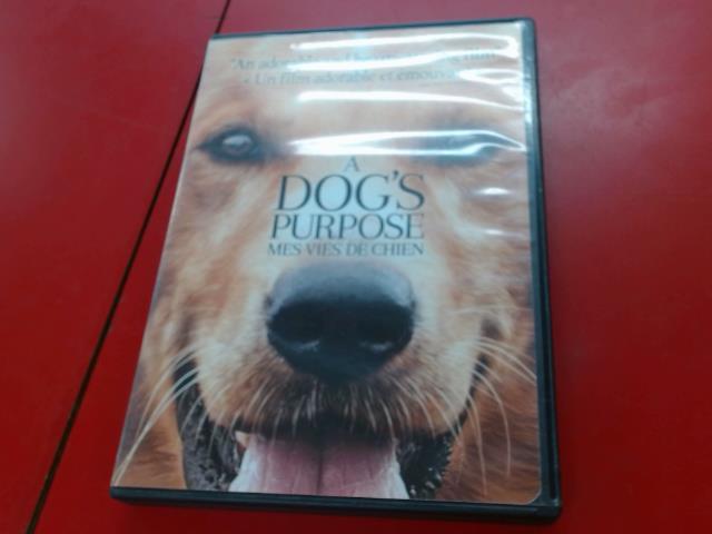 A dog's purpose mes vies de chien