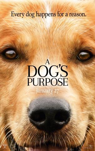 A dog purpose