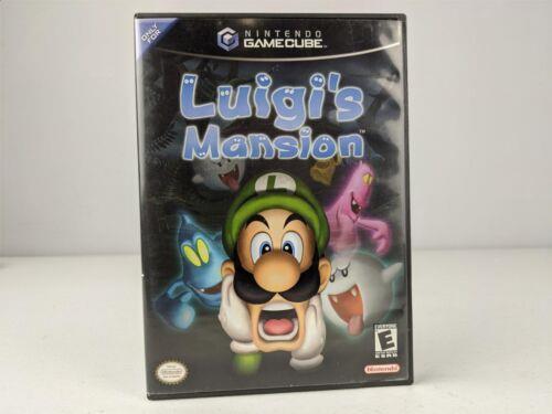 Luigi's mansion