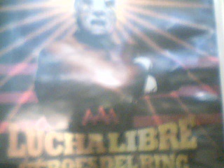 Lucha libre heroes del ring