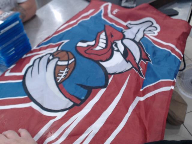 Drapeau des alouettes