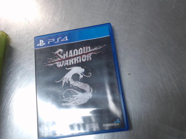 Shadow warrior